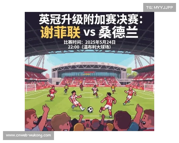 桑德兰崛起打破英超格局 斩获前四席位